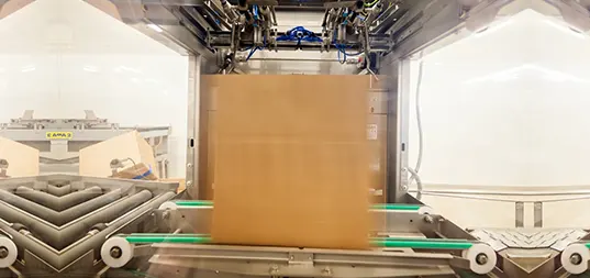 Packaging Adhesives